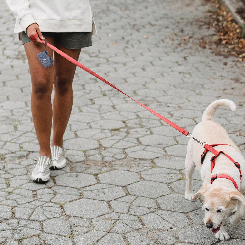 Portable and Reusable Dog Waste Bag Dispenser in Indigo